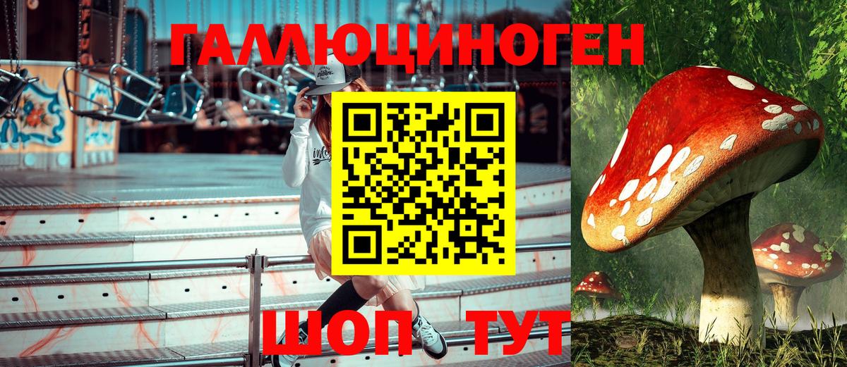 Кинель  Галлюциногенные грибы Psilocybe  Псилоцибиновые грибы мухоморы  Вход с VPN 